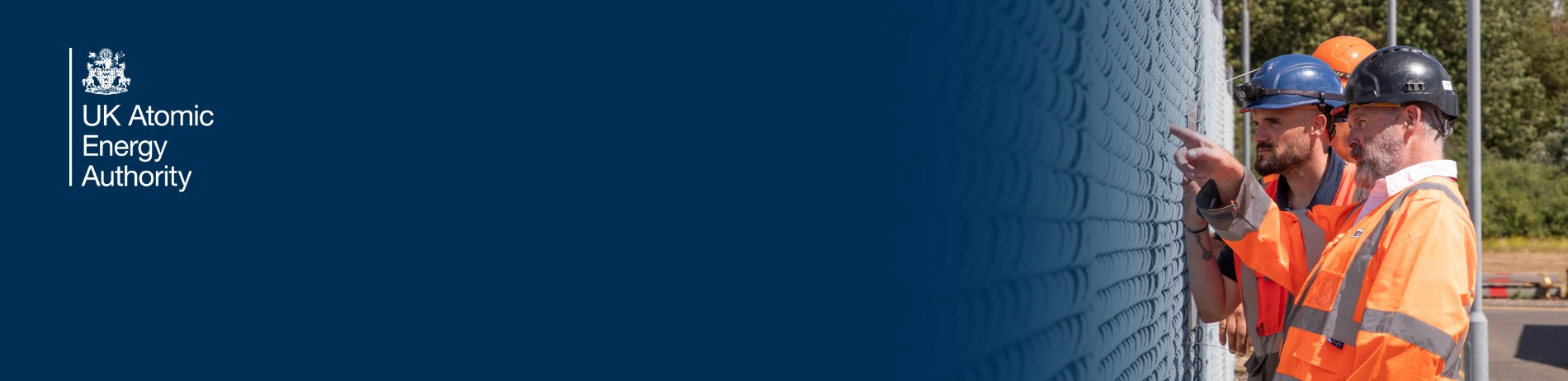 Codes and Standards Development and Innovation for Fusion Energy Sector (CS-DIFE)